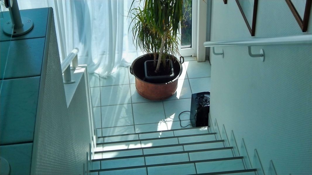 Bild von Haus in Dagebüll