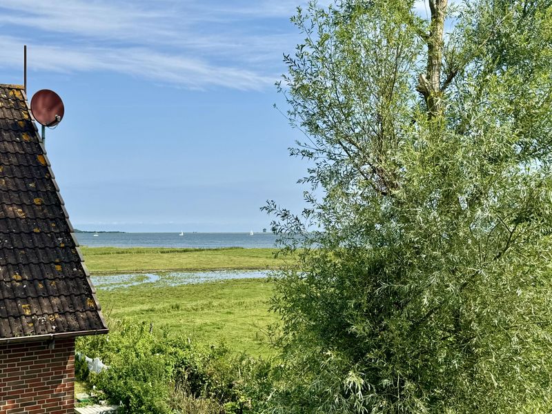 Bild von Haus in Kappeln