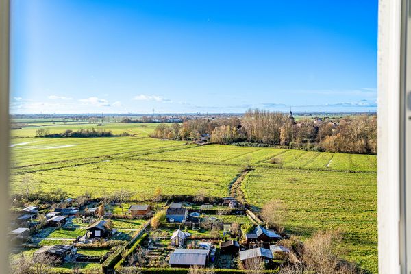 Bild von Wohnung in Uetersen