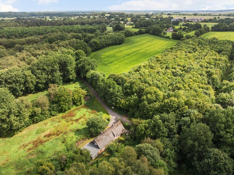 Bild von Haus in Nehms