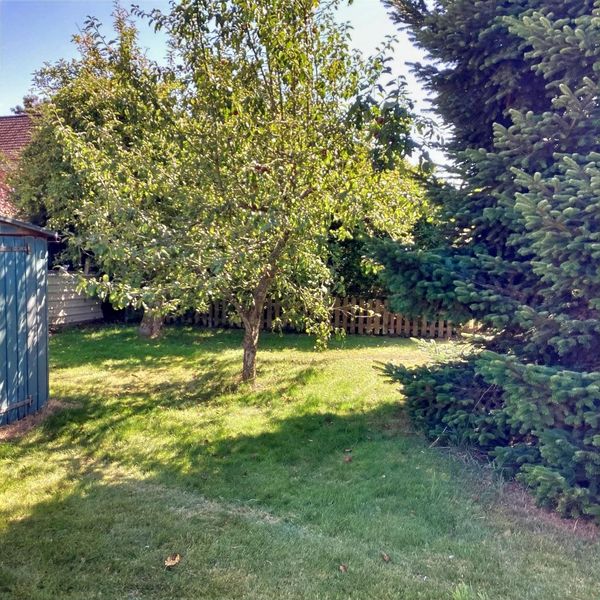Bild von Haus in Leck