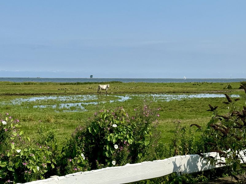 Bild von Haus in Kappeln