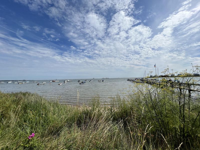 Bild von Haus in Kappeln