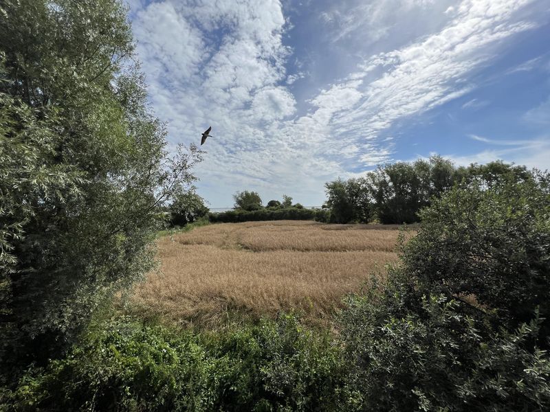 Bild von Haus in Kappeln