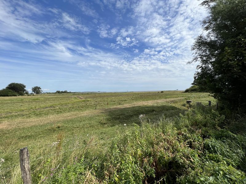 Bild von Haus in Kappeln