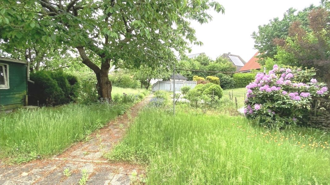 Bild von Haus in Dänischenhagen