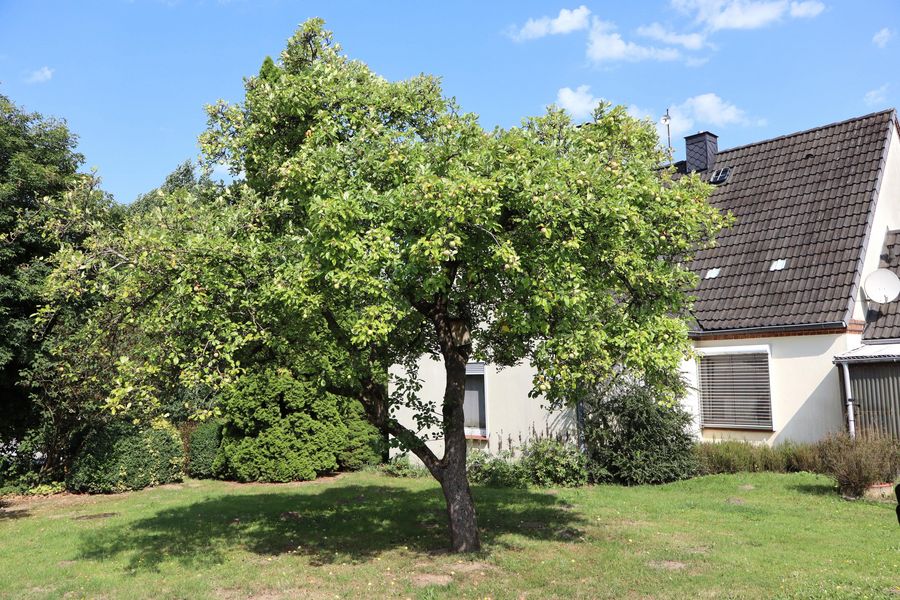 Bild von Haus in Jahrsdorf