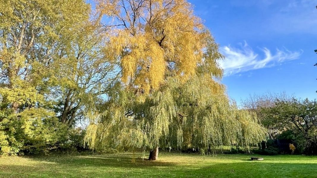 Bild von Haus in Brodersby-Goltoft